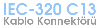 C13